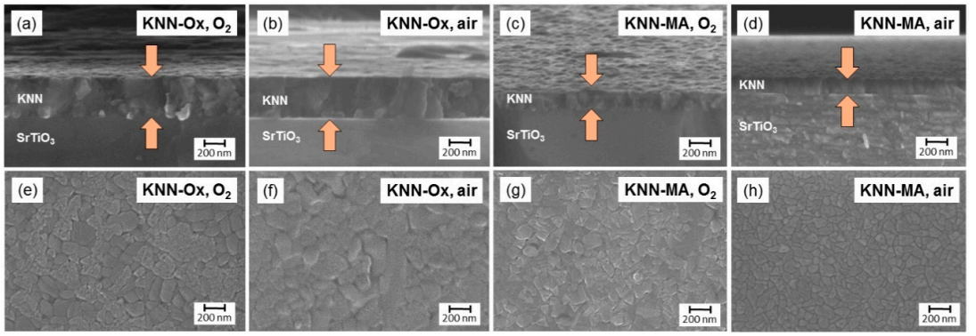 RTP对KNN薄膜中晶化退火的应用