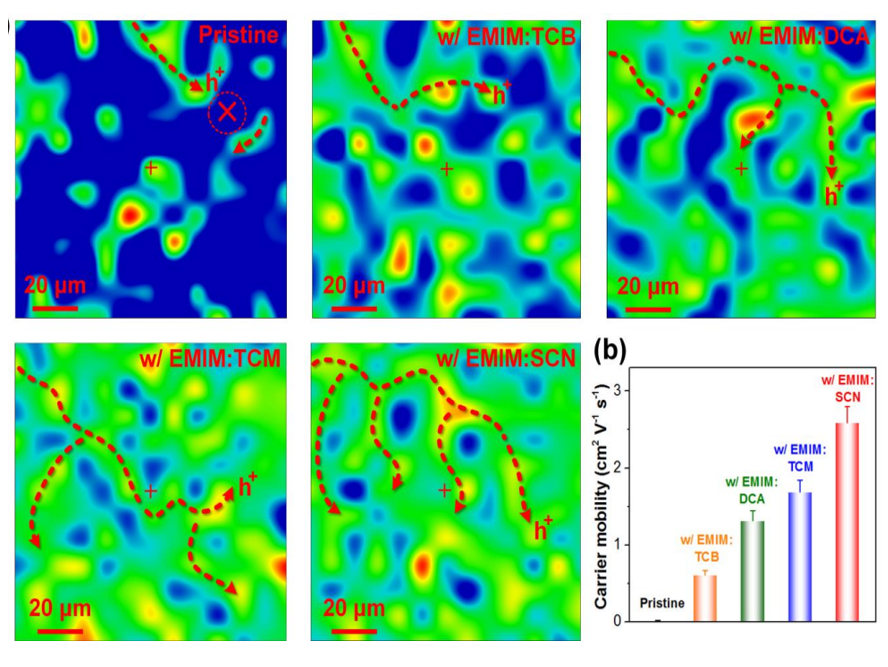 IL掺杂诱导的长程有序导电路径是载流子迁移率提升的关键.png